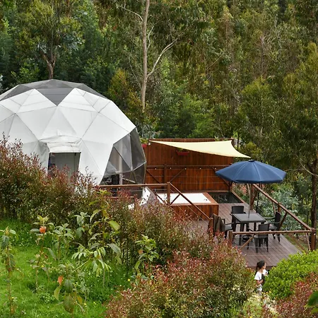 Golden Glamping & Suites-2